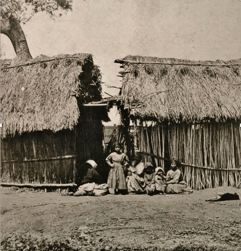 Gabrieleño dwellings at Acurag-na rancheria near Mission San Gabriel, California (1877–1880)